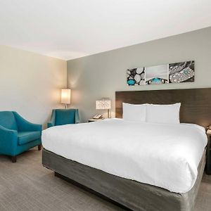 King Room Mobility Accessible Roll Shower